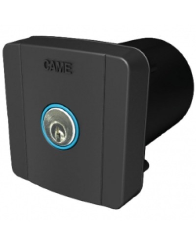 Ключ-выключатель встраиваемый Came 806SL-0020 в Благовещенске Запчасти для шлагбаумов и автоматики Pintop.ru