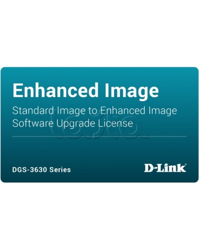 ПО D-Link DGS-3630-28TC-SE-LIC в Благовещенске Беспроводное оборудование Pintop.ru