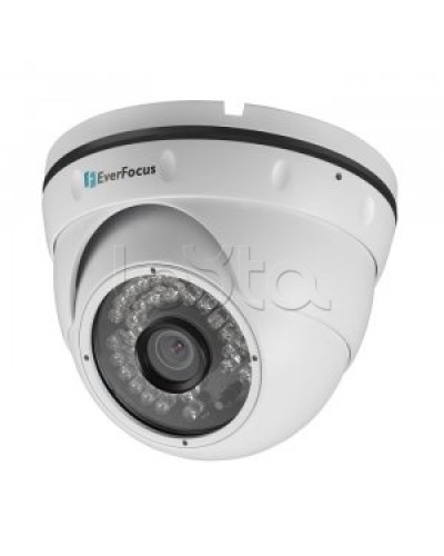 IP-камера видеонаблюдения купольная EverFocus ACE-IAV30 в Благовещенске IP-камеры Pintop.ru