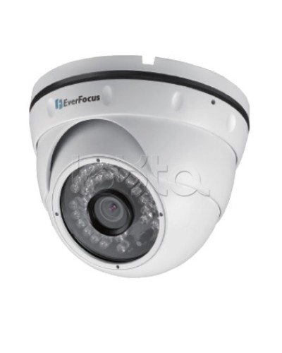 IP-камера видеонаблюдения уличная купольная EverFocus EBN-268 в Благовещенске IP-камеры Pintop.ru