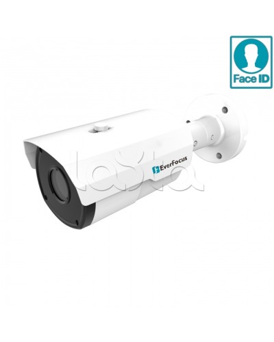 IP-камера видеонаблюдения в стандартном исполнении EverFocus EZN-2850 в Благовещенске IP-камеры Pintop.ru