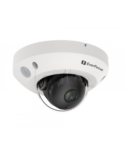 IP-камера видеонаблюдения купольная EverFocus EMN2560-SG в Благовещенске IP-камеры Pintop.ru