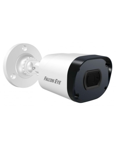 IP-камера видеонаблюдения в стандартном исполнении Falcon Eye FE-IPC-B2-30p в Благовещенске IP-камеры Pintop.ru