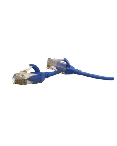 Патч-корд U/UTP Hyperline (PC-LPT-UTP-RJ45-RJ45-C6-1M-LSZH-BL) в Благовещенске Патчкорды (медные) Pintop.ru