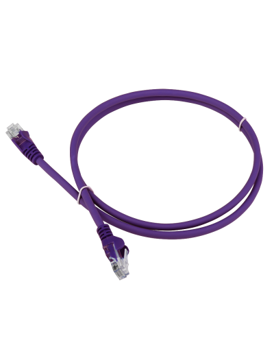 Патч-корд LANMASTER LSZH UTP кат.5e, 0.3 м, фиолетовый LANMASTER LAN-PC45/U5E-0.3-VI в Благовещенске Патчкорды (медные) Pintop.ru
