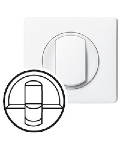 Клавиша для выключателя Celiane Legrand 068251 в Благовещенске Аксессуары для кабель-канала Pintop.ru