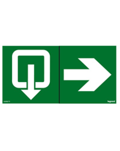 Пиктограмма 100х200 эвакуация стрелка Legrand 661671 в Благовещенске Дополнительное оборудование для ОПС Pintop.ru