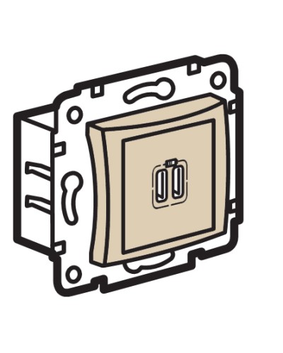 Устройство зарядное с коннекторами USB Legrand (774170) в Благовещенске Аксессуары для кабель-канала Pintop.ru