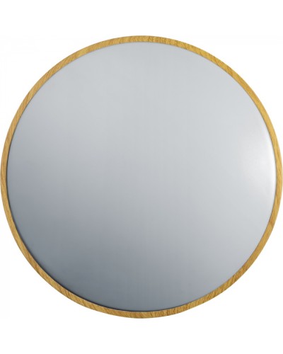 Светильник Navigator 93 459 NLF-C-025-01 в Благовещенске Светильники Pintop.ru