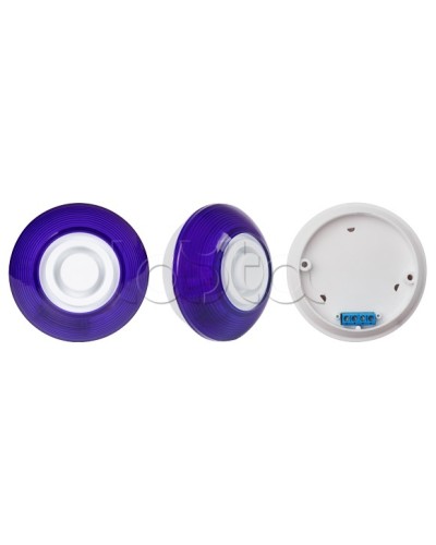 Оповещатель комбинированный SLT Марс 12-КП (строб, син) в Благовещенске Оповещатели Pintop.ru