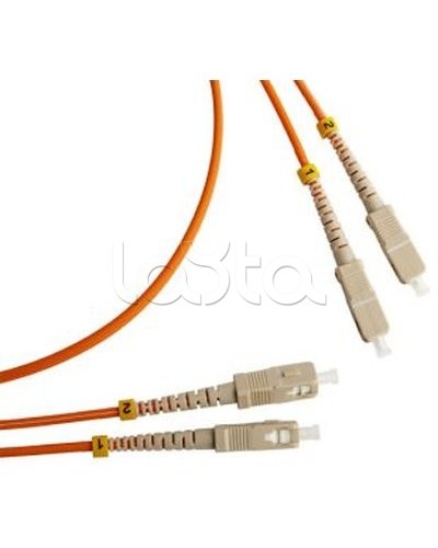 Патч-корд оптический TWT-2ST-2FC/SA-5.0 в Благовещенске Патч-корды оптические Pintop.ru