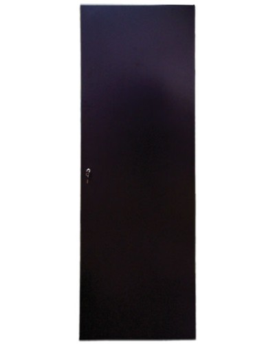 Дверь задняя для шкафов серии Business металл, 42U, ширина 800 мм TWT TWT-CBB-DRM1-42U-8 в Благовещенске Аксессуары для стоек и шкафов Pintop.ru