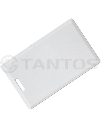 Карта толстая формата Temic Tantos Temic (толстая) TS в Благовещенске Оптовые идентификаторы Pintop.ru