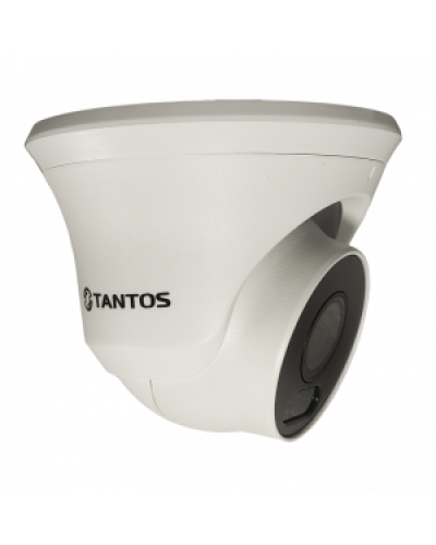 IP-видеокамера в купольном исполнении уличная Tantos TSi-Beco45FP в Благовещенске IP-камеры Pintop.ru
