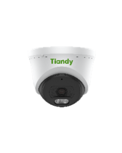 Купольная IP-камера Tiandy TC-C34QN Spec:I5W/E/Y/4mm/V4.2 в Благовещенске IP-камеры Pintop.ru
