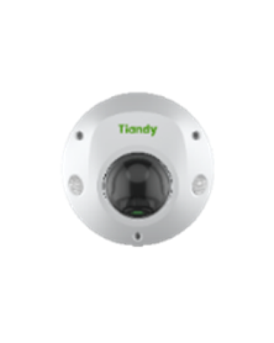Купольная IP-камера Tiandy TC-C35PS Spec:I3/E/Y/M/H/2.8mm/V4.2 в Благовещенске IP-камеры Pintop.ru