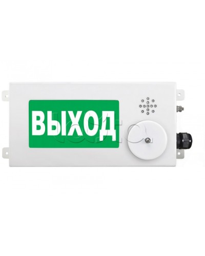 Табло световое взрывозащищенное Спектрон ТСВ-Exm-М-Прометей-МИНИ 220В в Благовещенске Оповещатели Ex Pintop.ru