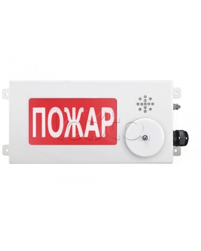 Табло светозвуковое взрывозащищенное Спектрон ТСЗВ-Exm-М-Прометей-МИНИ 220В в Благовещенске Оповещатели Ex Pintop.ru