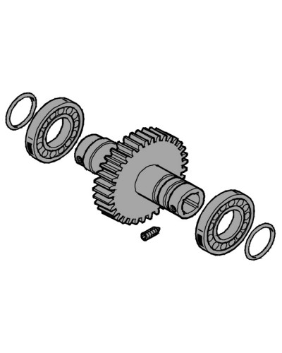 Вал выходной EMEGA Came 119RIE062 в Благовещенске Запчасти для шлагбаумов и автоматики Pintop.ru