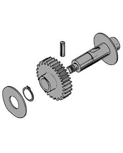 Вал в сборе C100 Came 119RIC011 в Благовещенске Запчасти для шлагбаумов и автоматики Pintop.ru