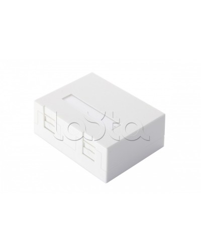 Настенная коробка 2-портовая со шторками, белый Eurolan (12B-04-02WT-2) в Благовещенске Розетки компьютерные и телефонные Pintop.ru