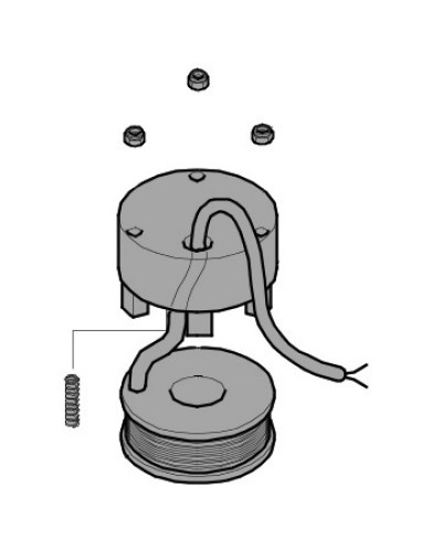 Электромагнит BX-P, BK-1200P Came 119RIBX035 в Благовещенске Запчасти для шлагбаумов и автоматики Pintop.ru