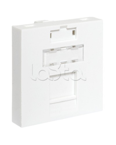 Вставка розеточная TERACOM PRO 45x45мм формат Mosaic на 1 модуль Keystone белая EKF (TRP-INS-MOS-2M1P-WH) в Благовещенске Розетки компьютерные и телефонные Pintop.ru