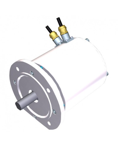 Электродвигатель FROG-MD Came 119RIA080 в Благовещенске Запчасти для шлагбаумов и автоматики Pintop.ru